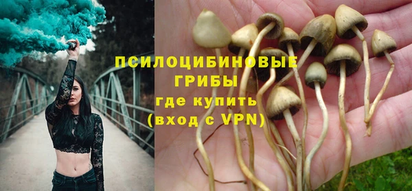 дмт Арсеньев