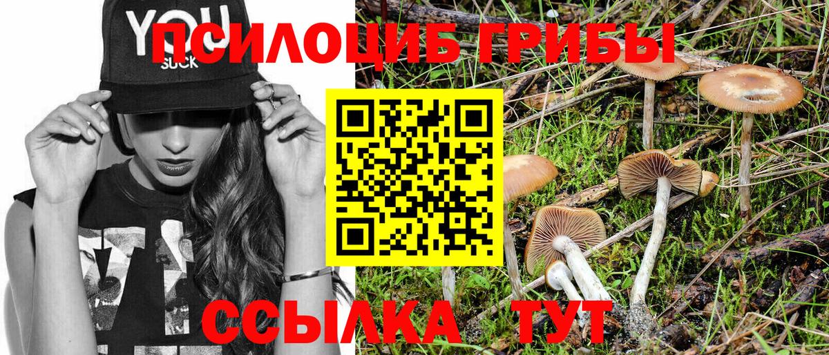 Псилоцибиновые грибы Psilocybine cubensis Чернушка