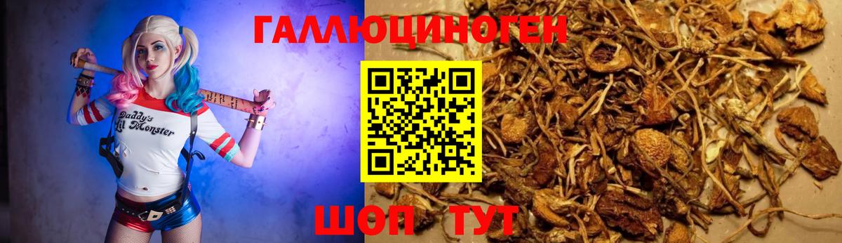 Чернушка  Галлюциногенные грибы Cubensis  Галлюциногенные грибы Cubensis  Вход с VPN 